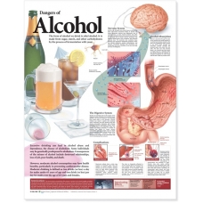 Dangers of Alcohal Chart (52x70cm) With Special Rigid Lamination and Plastic Rollers