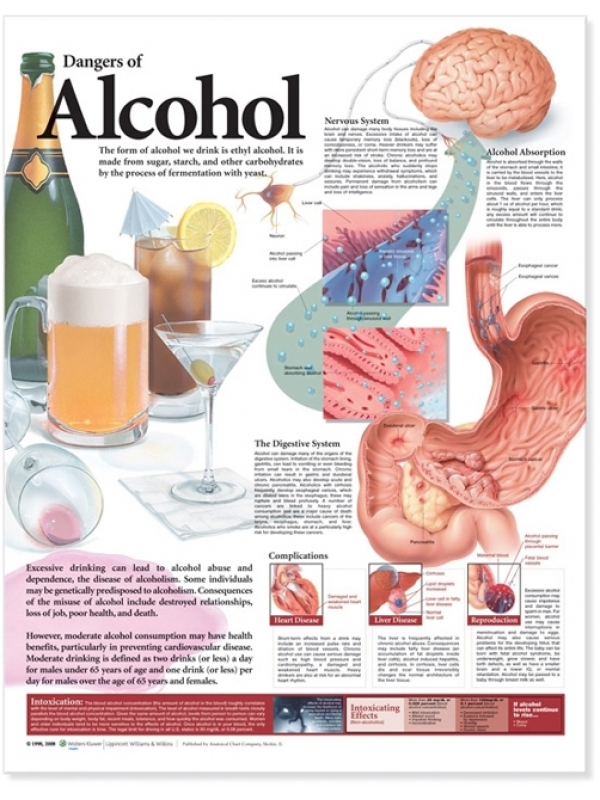 Dangers of Alcohal Chart (52x70cm) With Special Rigid Lamination and Plastic Rollers