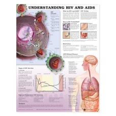 Understanding HIV and AIDS Chart (52x70cm) With Special Rigid Lamination and Plastic Rollers