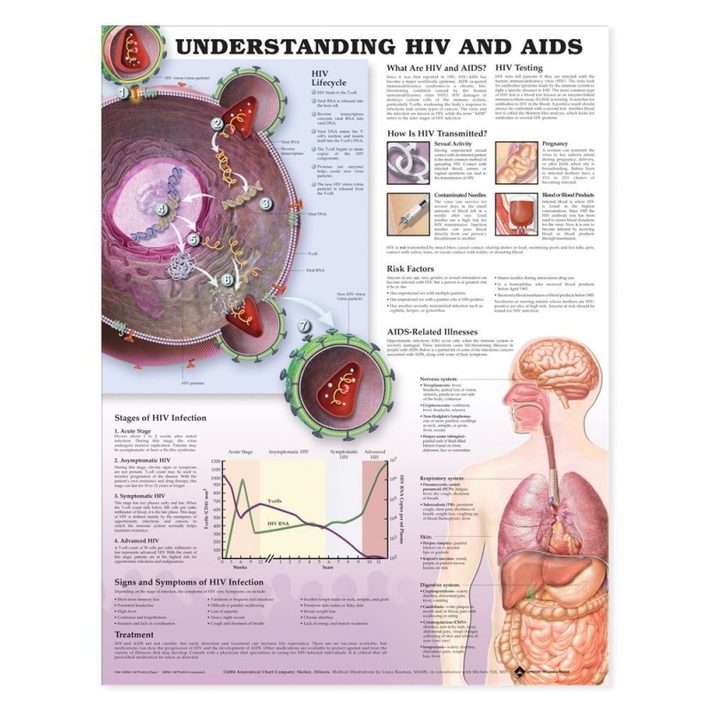 Understanding HIV and AIDS Chart (52x70cm) With Special Rigid Lamination and Plastic Rollers