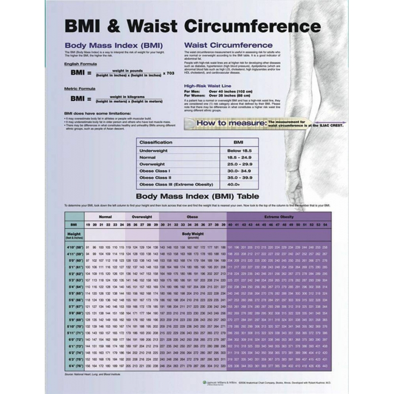 BMI and Waist Circumference Chart (51x66cm) With Hard Backing, Aluminium Frame & Hanging Hooks