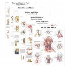 MYASKRO Bundle of Anatomy & Injuries Charts (52cm x 70cm, Thick Glossy Paper| Ultra Refined Resolution) MYASKRO Bundle of Anatomy & Injuries Charts (52cm x 70cm, Thick Glossy Paper| Ultra Refined Resolution)