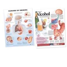 Substances and The Body Charts Bundle - Myaskro