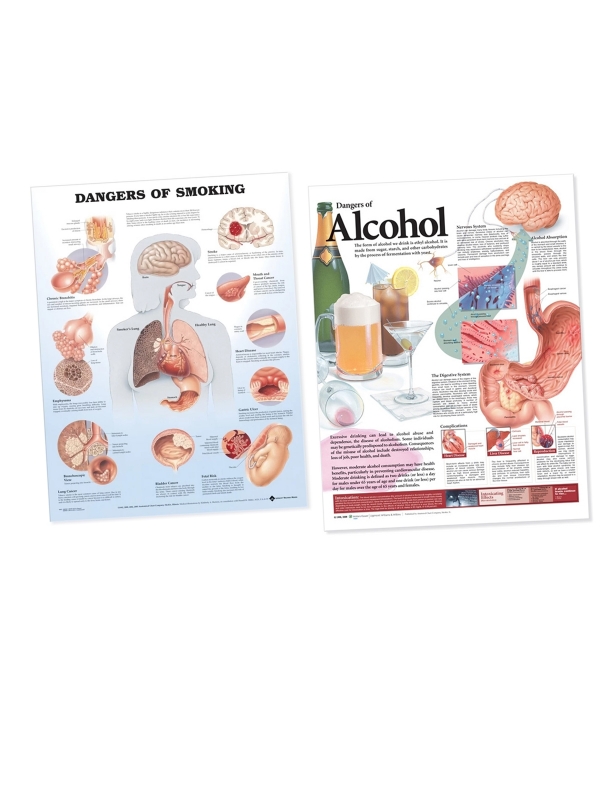 Substances and The Body Charts Bundle - Myaskro