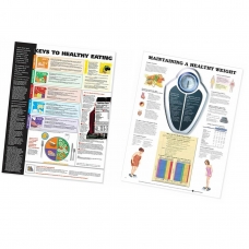 Healthy Life-Style Charts Bundle - Myaskro
