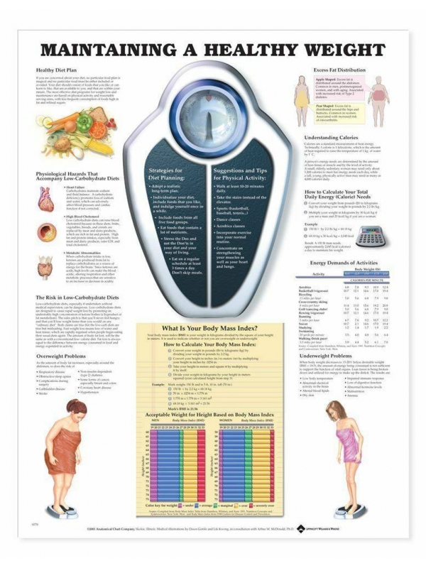 Maintaining A Healthy Weight Chart (52x70cm) With Special Rigid Lamination and Plastic Rollers