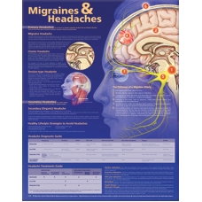 Migraines and Headaches Chart (52x70cm) With Special Rigid Lamination and Plastic Rollers