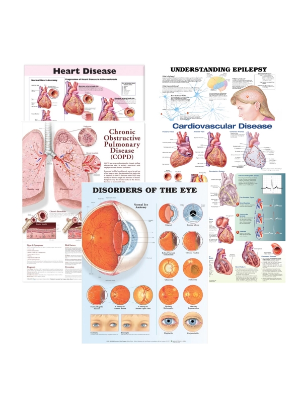Organ Pathology 5 Charts Bundle - Myaskro