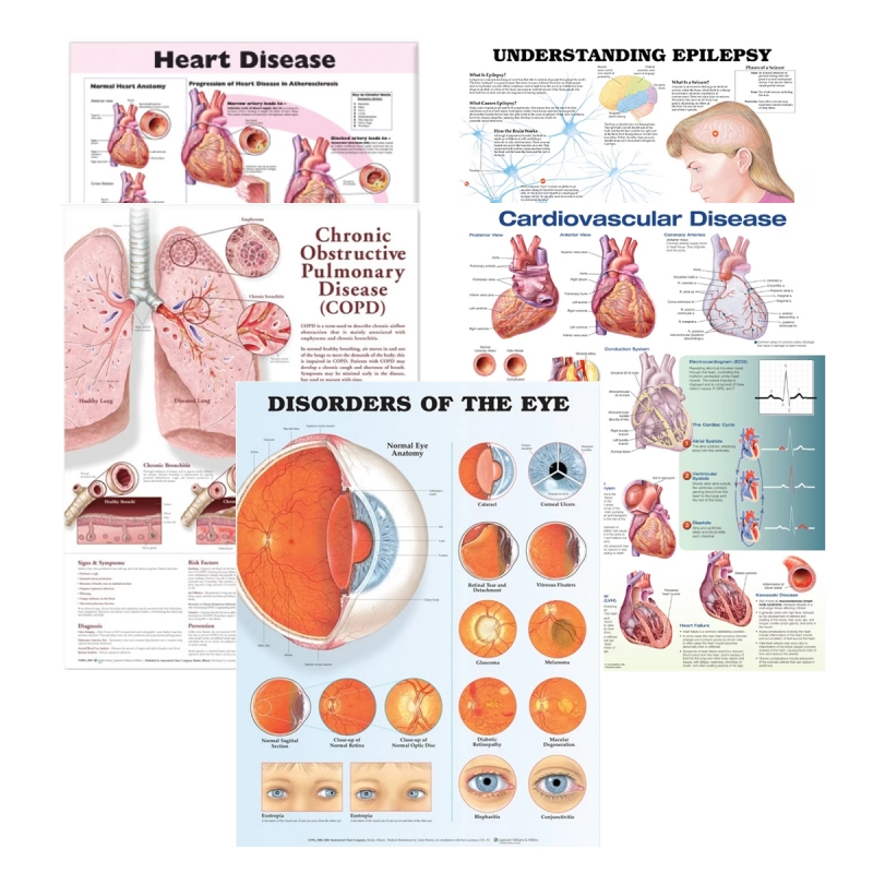 Organ Pathology 5 Charts Bundle - Myaskro