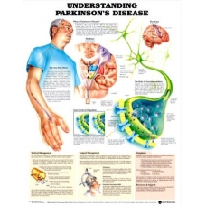 Understanding Parkinson's Disease Chart (52x70cm) With Special Rigid Lamination and Plastic Rollers