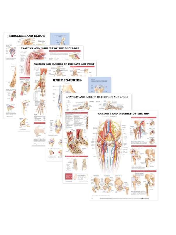 Peripheral Joint 6 Charts Bundle - Myaskro