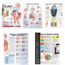 Personal, Social & Health Education Charts Bundle - Myaskro