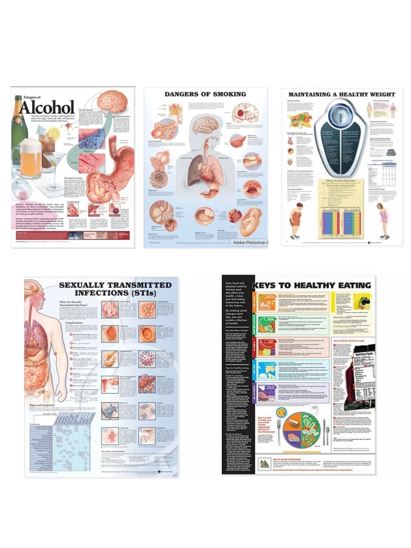 Personal, Social & Health Education Charts Bundle - Myaskro