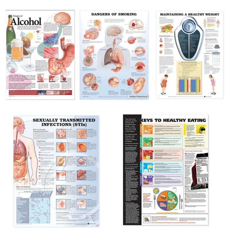 Personal, Social & Health Education Charts Bundle - Myaskro
