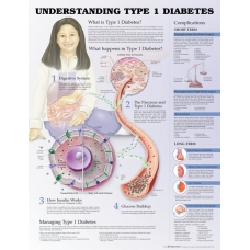 Understanding Diabetes Type 1 Chart (52x70cm) With Special Rigid Lamination and Plastic Rollers