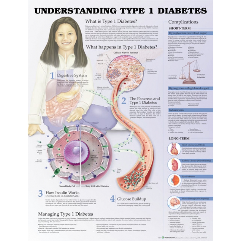 Understanding Diabetes Type 1 Chart (52x70cm) With Special Rigid Lamination and Plastic Rollers