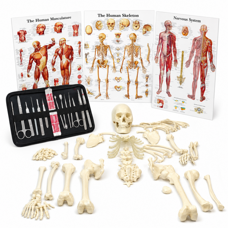 Premium MBBS Bundle