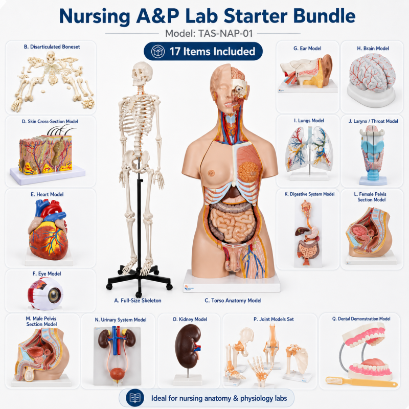 Nursing Anatomy & Physiology Lab Starter Bundle