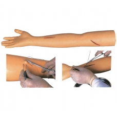 Myaskro - Advanced Suture Practice Arm Model