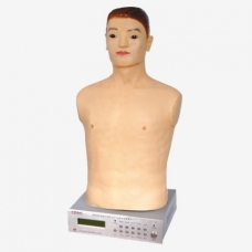 Auscultation Manikin By Myaskro