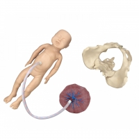 Antenatal Educators Bundle - Myaskro