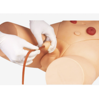 MYASKRO Dual-Sex Catheter Trainer & Urinary System Bundle