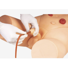 Catheterization Training Simulator(Male)