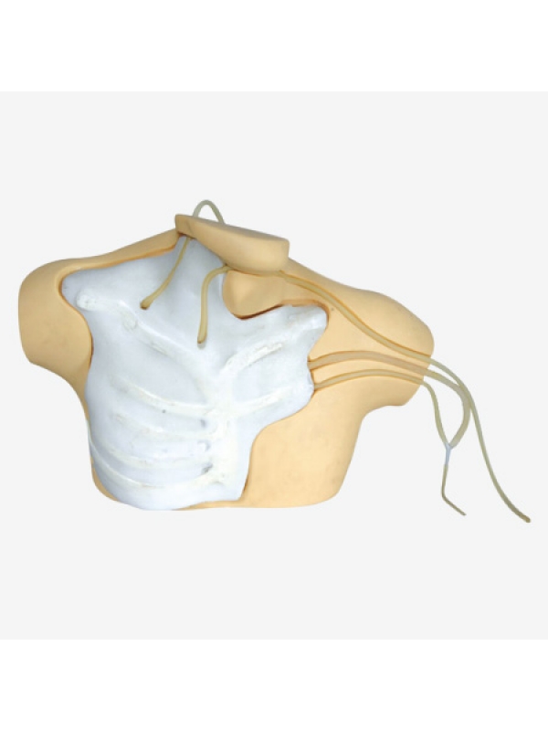 Myaskro - Central Venous Catheterization Simulator
