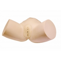 MYASKRO Female Catheter Trainer & Urinary System Bundle