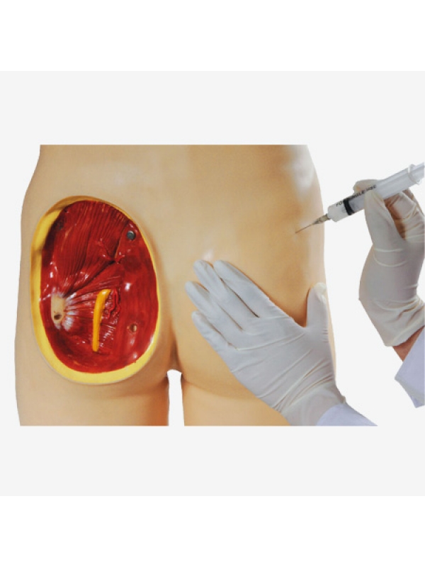 Myaskro - Intramuscular Injection Training Simulator Manikin (Life-Size) Perfect For Gluteal Intra Muscle Training