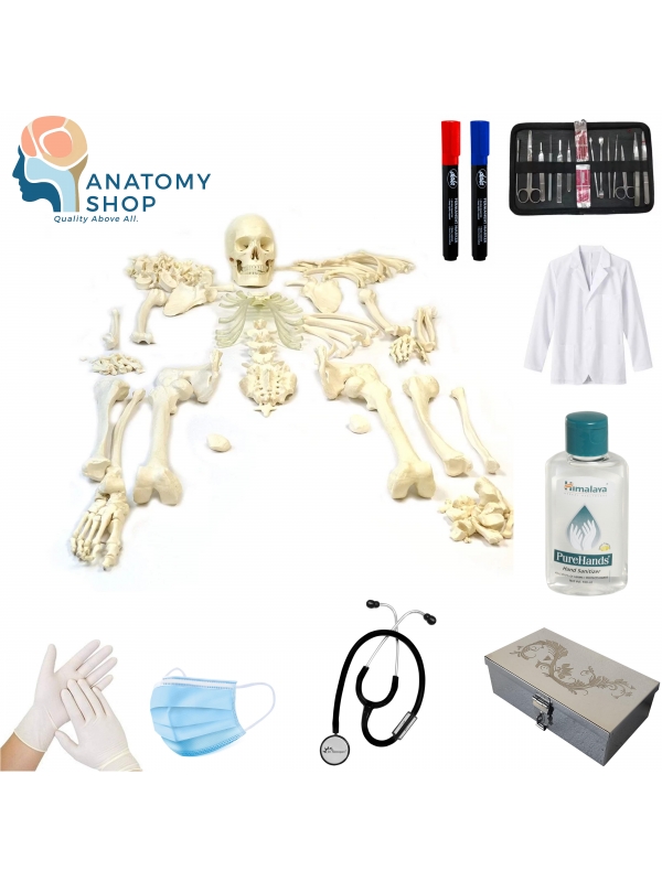 MBBS Freshers’ Ultimate Starter Kit – Anatomy Practical Essentials Pack - Myaskro