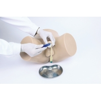 Male Catheter Trainer and Urinary System Bundle - Myaskro