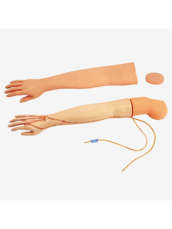 Multi-functional IV Arm Model by Myaskro
