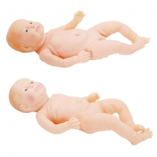 Neonate Care Female and Male Manikin Bundle - Myaskro Neonate Care Female and Male Manikin Bundle - Myaskro
