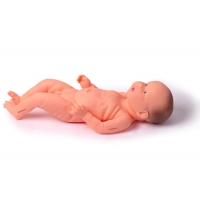 Antenatal Educators Bundle - Myaskro