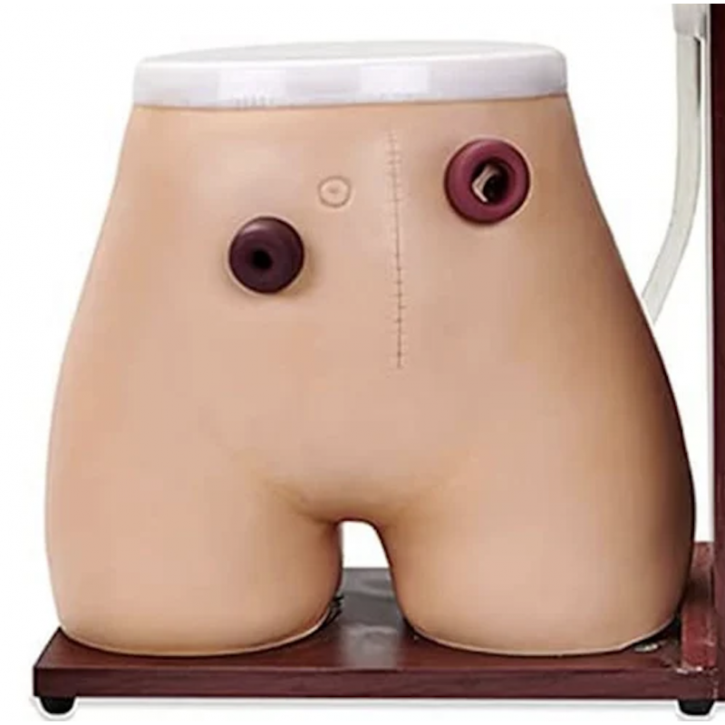 Ostomy Nursing Manikin (Premium Quality) by Myaskro