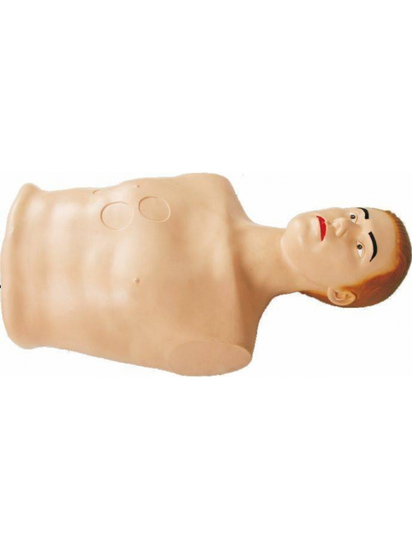 Pericardial Puncture & Intra Cardiac Injection Simulator By Myaskro