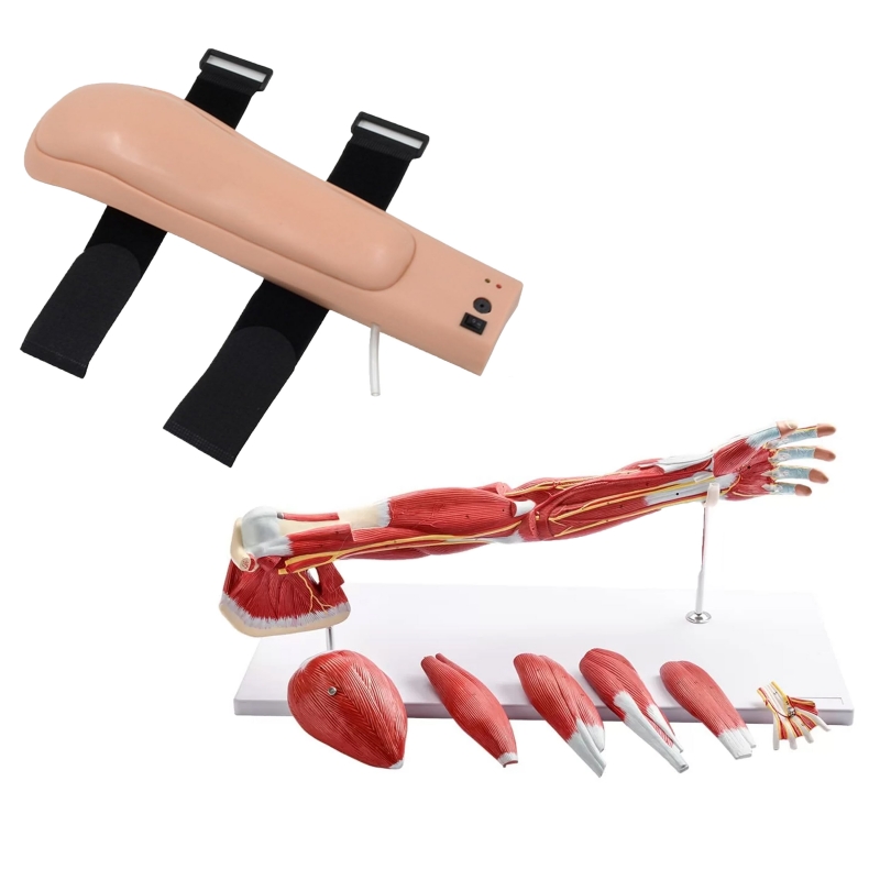 Upper Intramuscular Injection Trainer Bundle (Electronic Upper Injection Arm + 7-Part Muscular Arm) | Myaskro