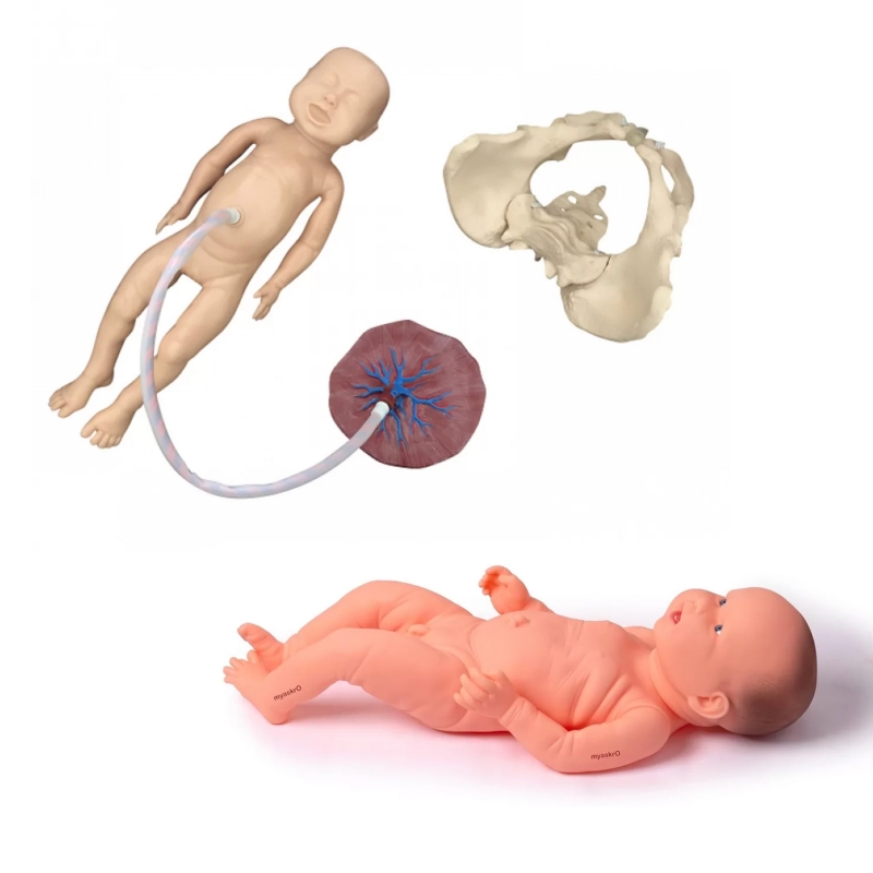Antenatal Educators Bundle - Myaskro