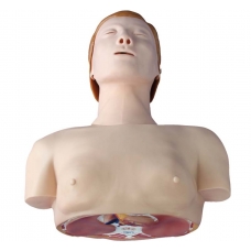 Myaskro - Basic CPR Training Model (Half Body)
