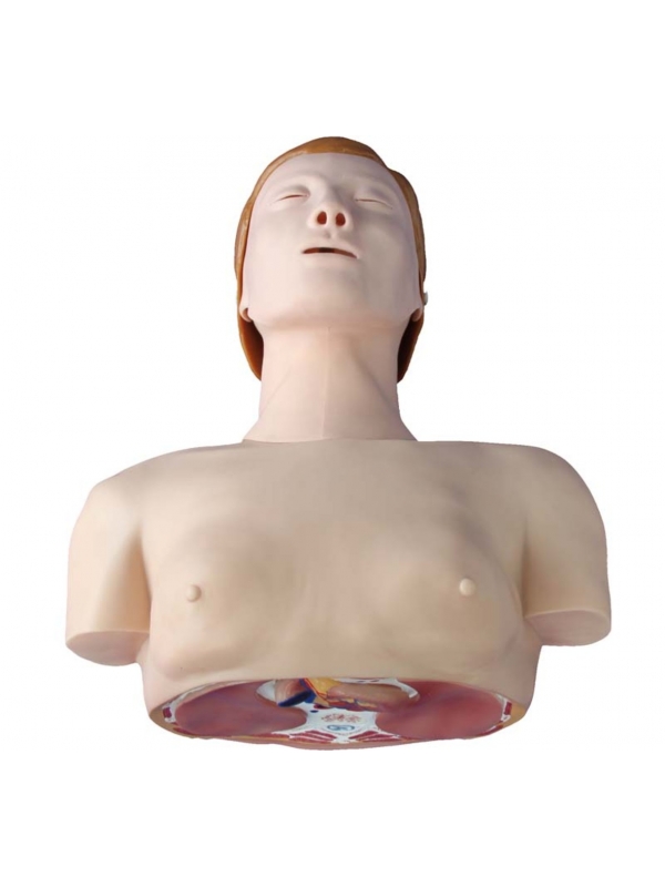 Myaskro - Basic CPR Training Model (Half Body)