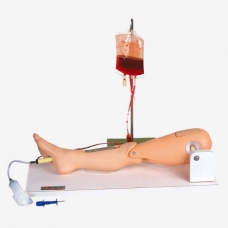 Bone Marrow Puncture & Femoral Venipuncture Simulator by Myaskro