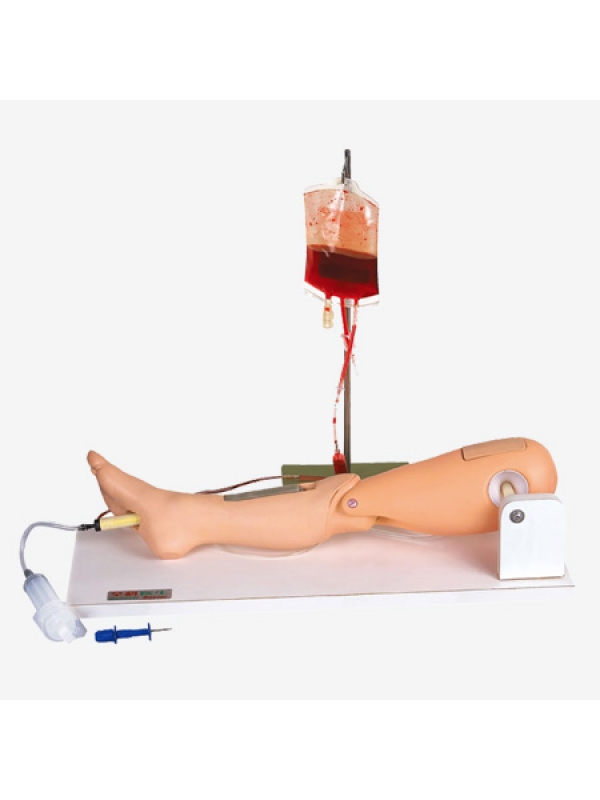 Bone Marrow Puncture & Femoral Venipuncture Simulator by Myaskro