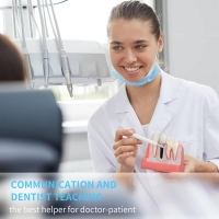 Dental Implant Model - Myaskro