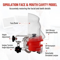 Dental Training Manikin (Phantom Head Model with Desk Clamp) - Myaskro