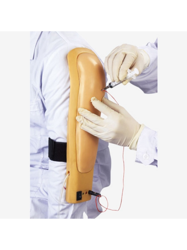 Electronic Upper Arm Intramuscular Injection Model by Myaskro