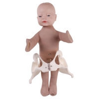 Realistic Fetal Model with Pelvis – 3D Birth Simulator for Midwifery, Obstetric & Medical Education