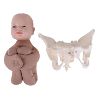 Realistic Fetal Model with Pelvis – 3D Birth Simulator for Midwifery, Obstetric & Medical Education