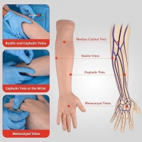 Professional Venipuncture and Intravenous Access Training Arm – Complete with Infusion Setup and Carry Case
