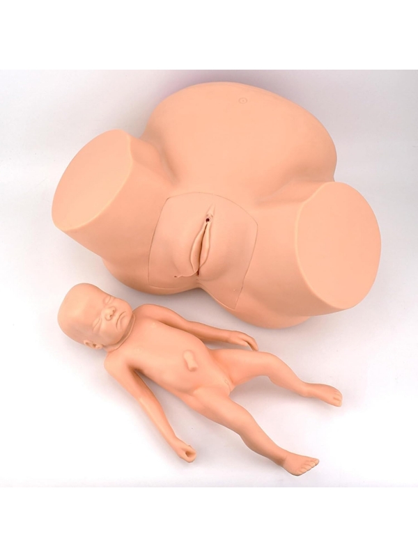 Midwifery Delivery Training Model (Maternal Pelvis + Neonate Manikin) | Myaskro